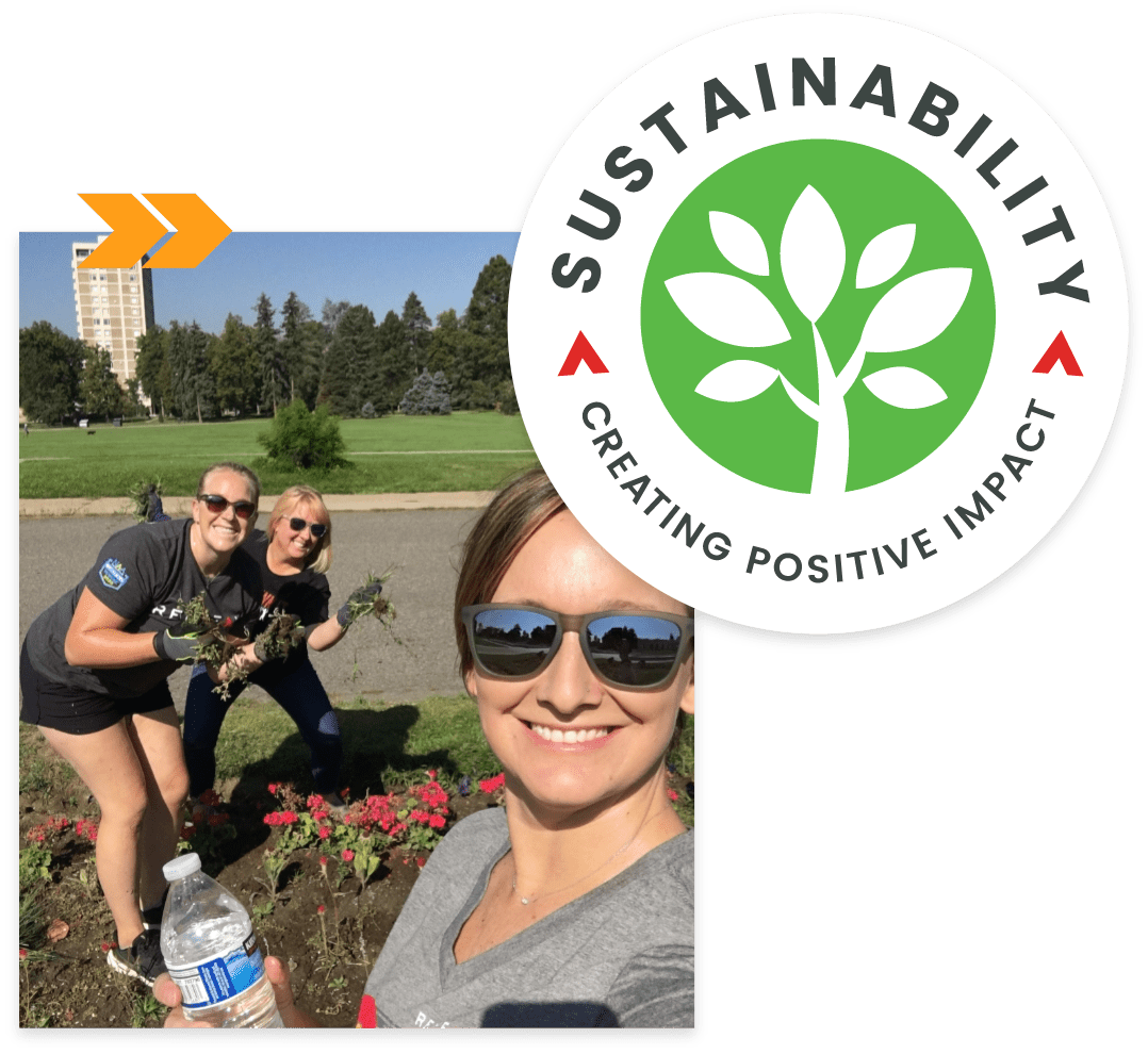 Group of people planting trees in grassy outdoor area.