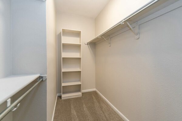 Large closet with carpet, grey walls, and built in shelves and clothes rods.
