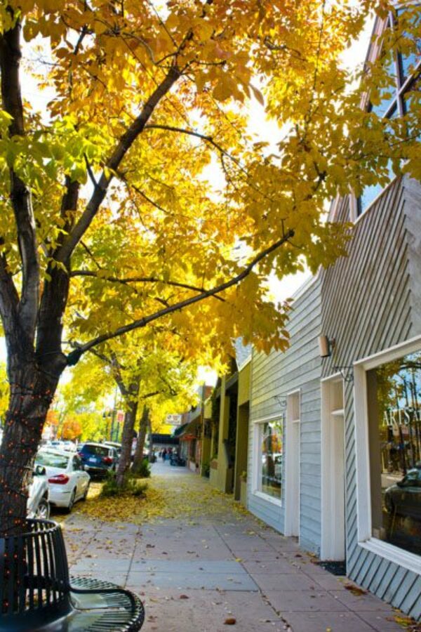 Photo of Wash Park shopping area in the fall