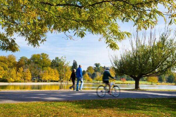 Photo of Wash Park in the Fall, yellow foliage
