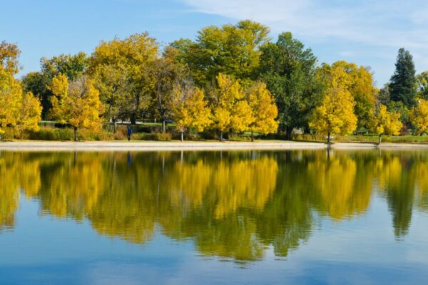 Photo of fall trees reflecting on the water at Wash Park