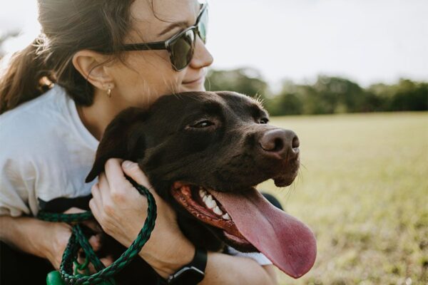 Person with brown ponytail and sunglasses hugging chocolate lab dog.