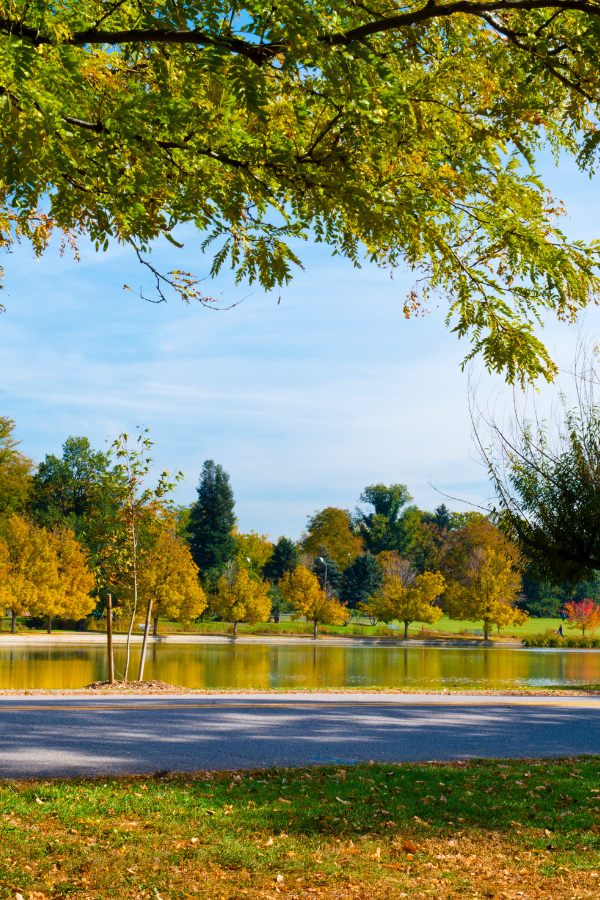 Washington Park in Denver Colorado