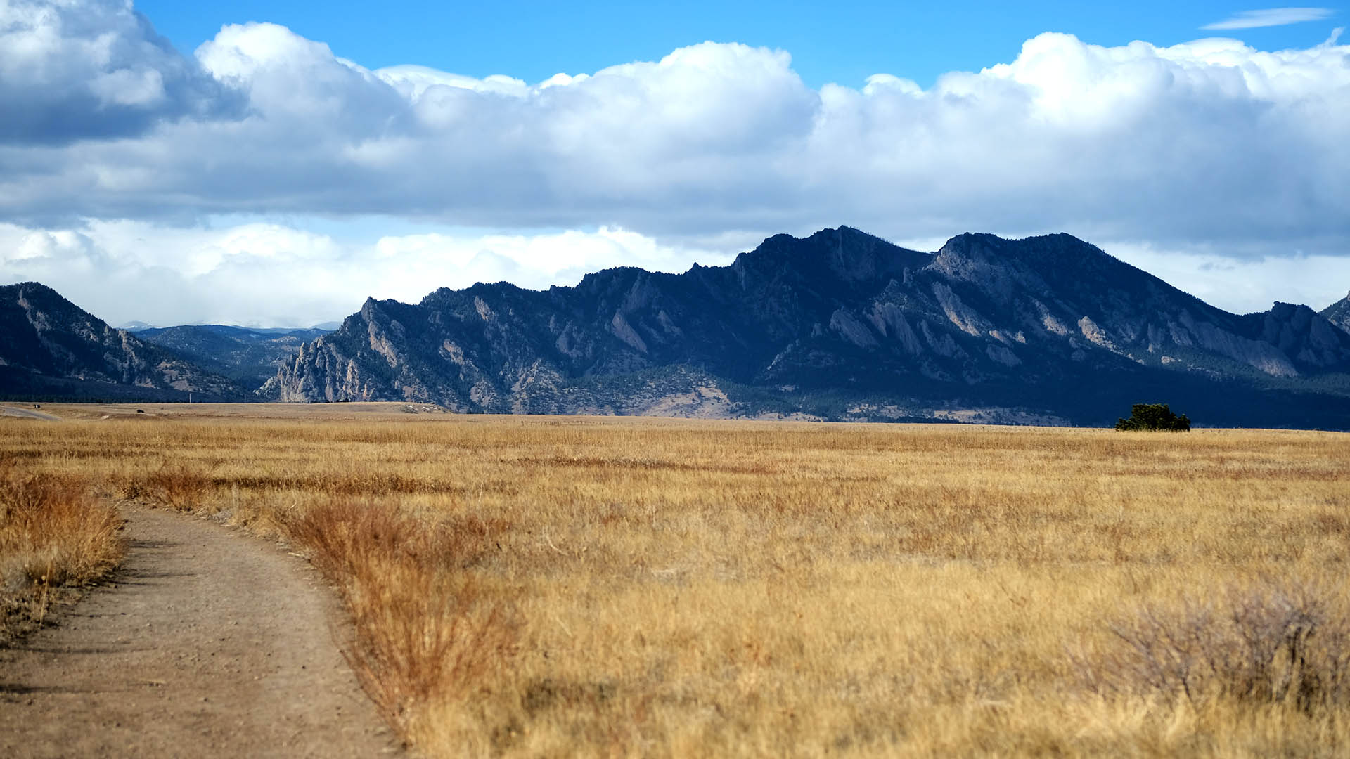 Front range of the Rocky Mountains with grass field in foreground.