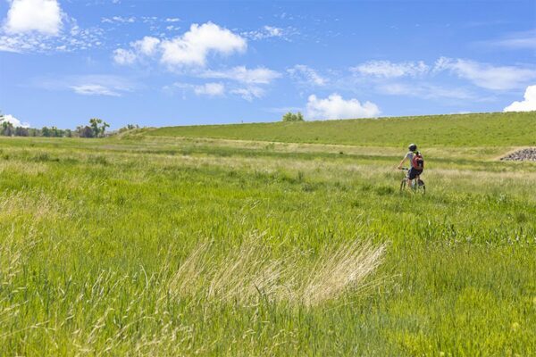 Lush green field with bike paths in Lowry neighborhood.