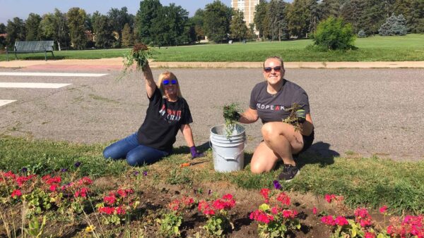RedPeak employees pulling weeds for sustainability efforts.