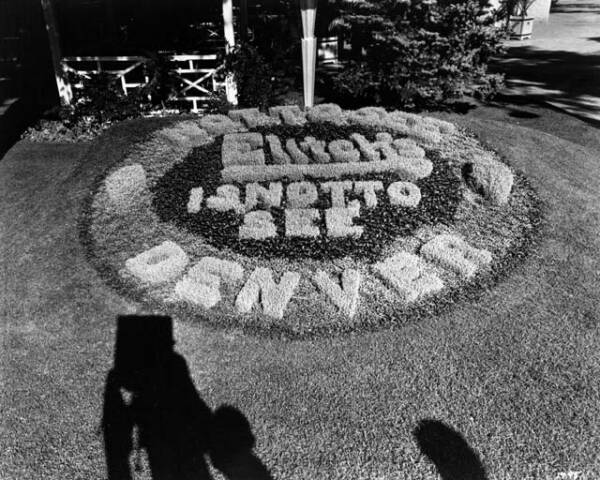Historic Elitch Gardens flower arrangement.