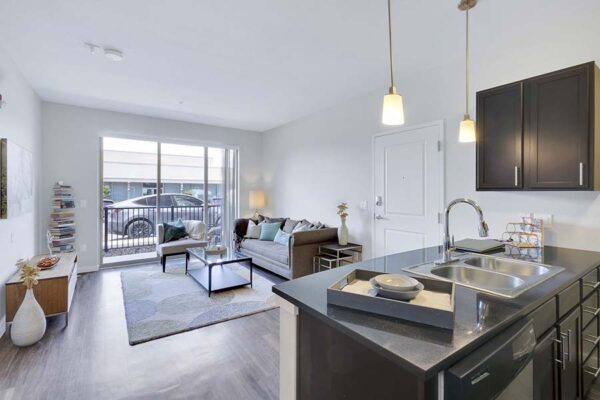 Monaco Row apartment living space with modern kitchen and comfortable living room.