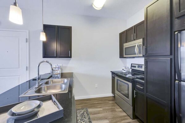 Monaco Row apartment kitchen with wood style floor and cabinets, dark counters, and stainless steel appliances.
