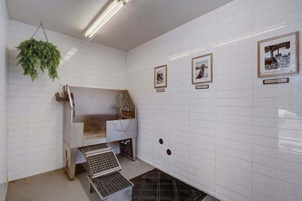 Monaco Row pet washing station with stainless wash basin and tiled walls.