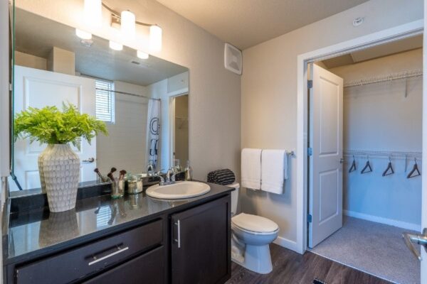 ensuite bathroom with large sink and closet