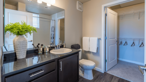 bathroom with dark cabinets, sink, toilet, and large closet
