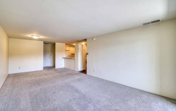 The Manchester apartment living room with carpet.